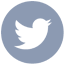 twitter logo